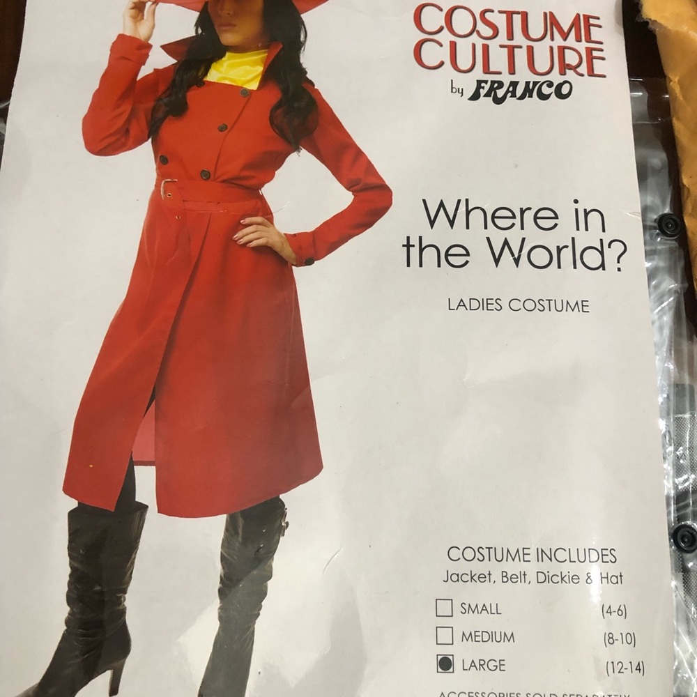 Preowned Carmen Sandiego Costume size Large